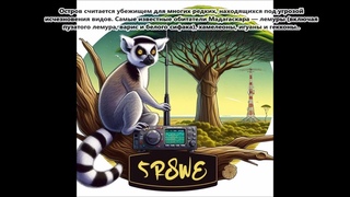 5R8WE 5R8CI Остров Нуси Бе. С сайта