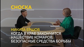“Сноска“: когда в Алтайском крае закончится нашествие комаров