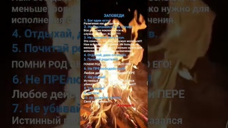 Все заповеди нарушены церковью!!!