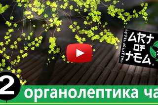 Органолептика чая. Аромат чая - Аромат зеленого чая. Часть 2