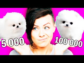 ЩЕНОК: ДЕШЕВО vs ДОРОГО ! ПОКУПАЮ ЩЕНКА | ДЕШЕВЫЕ ЩЕНКИ ПРОТИВ ДОРОГИХ