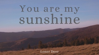 Loner Deer - You are my sunshine