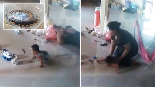 Mother Makes EPIC Save To Stop Centipede Biting Baby