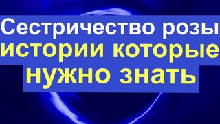 Сестричество розы: истории, которые нужно знать