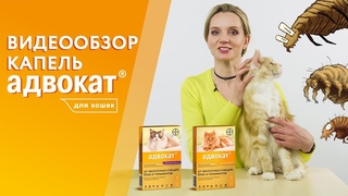 Капли Адвокат от блох, чесоточных клещей, глистов для кошек. Видеообзор от производителя.