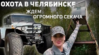 Охота в Челябинске | ЖДЁМ ОГРОМНОГО СЕКАЧА