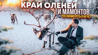 Югра - край контрастов, мамонтов и оленей. Как живут оленеводы в Ханты-Мансийске?