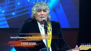 Анатолий Вишняков - Я коня позову...