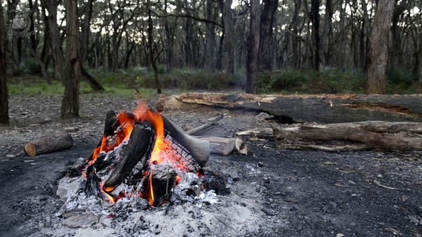 Campfire in the Woods with Relaxing Fire Sounds and the Sound of Nature with Soft Singing