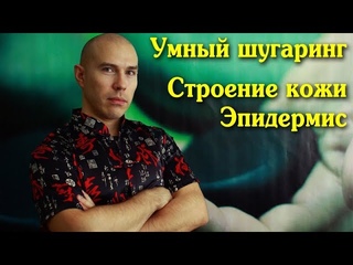 Анатомия Строение кожи Эпидермис Умный шугаринг Путь мастера Токмаков