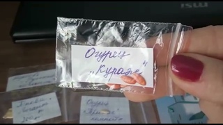 Для огородника//Семена//Это БРИЛЛИАНТЫ//