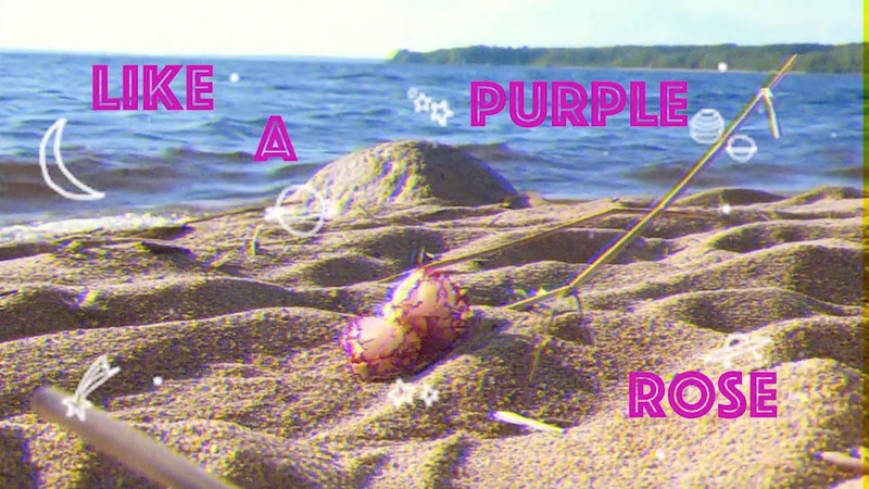 Berenika Purple Rose ( Lyric