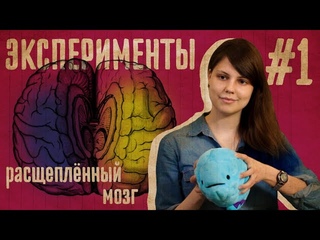 Эксперимент: Расщепленный мозг // Не думай о белой обезьяне