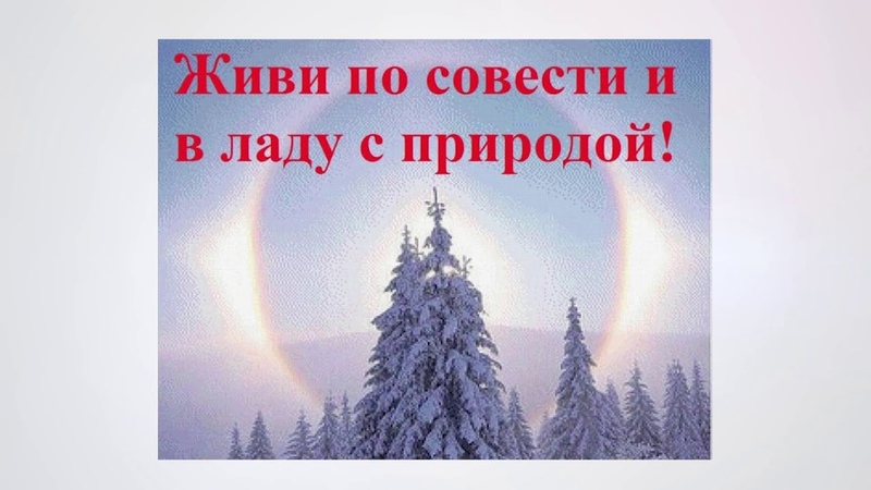 В лесу родилась елочка В лесу пусть и