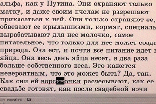 №19. Занятия в Потеряевке. Пчёлы