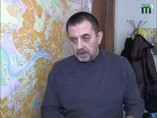 Ялинки в Ужгороді коштують від 50 гривень