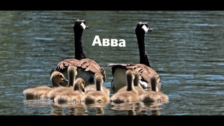 Авва - Христианские песни - 25