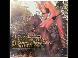 King Bisquit  Fake The P-Funk (Bunch Mix)
