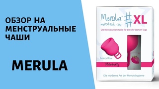 Обзор на менструальные чаши merula