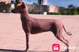 Немного занятий на свежем воздухе :) [RND HAIRLESS]