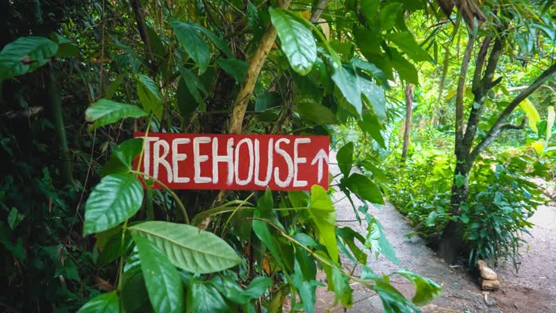 DOMINICAN TREEHOUSE FUN Day