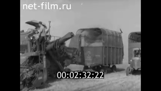 1964г. п.Выпасной, х.Нагольный Котельниковский район Волгоградская обл