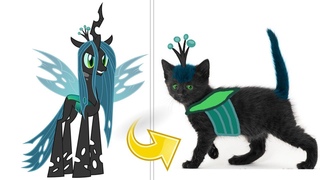 Queen Chrysalis as Kitten MLP