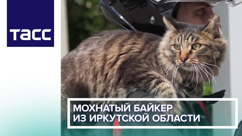 Мохнатый байкер из Иркутской