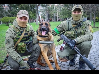 Странный приказ об выселении и эвакуации граждан РФ  будет помогать выполнять Росгвардия!