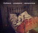 Фотография Александр Поселёнов