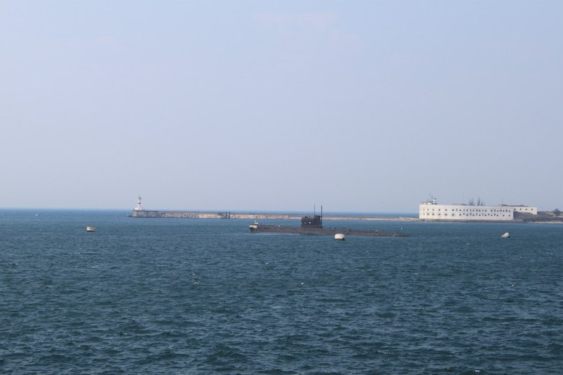 Катя Шереметева ***Grenouille heureuse*** | Nice