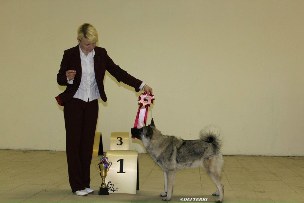 Александр Смирнов | Санкт-Петербург