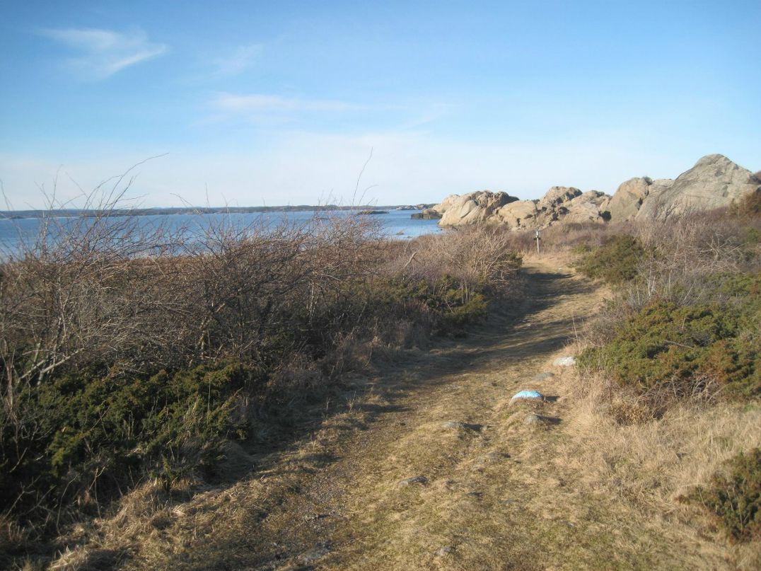 Елена Карлсен | Tønsberg