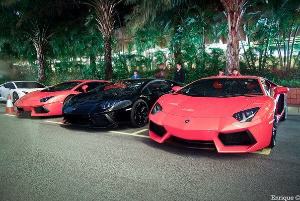 Даниил Берестовский | Санкт-Петербург