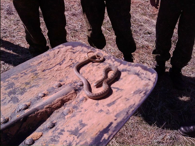 Артем Строков Арчи | Philadelphia