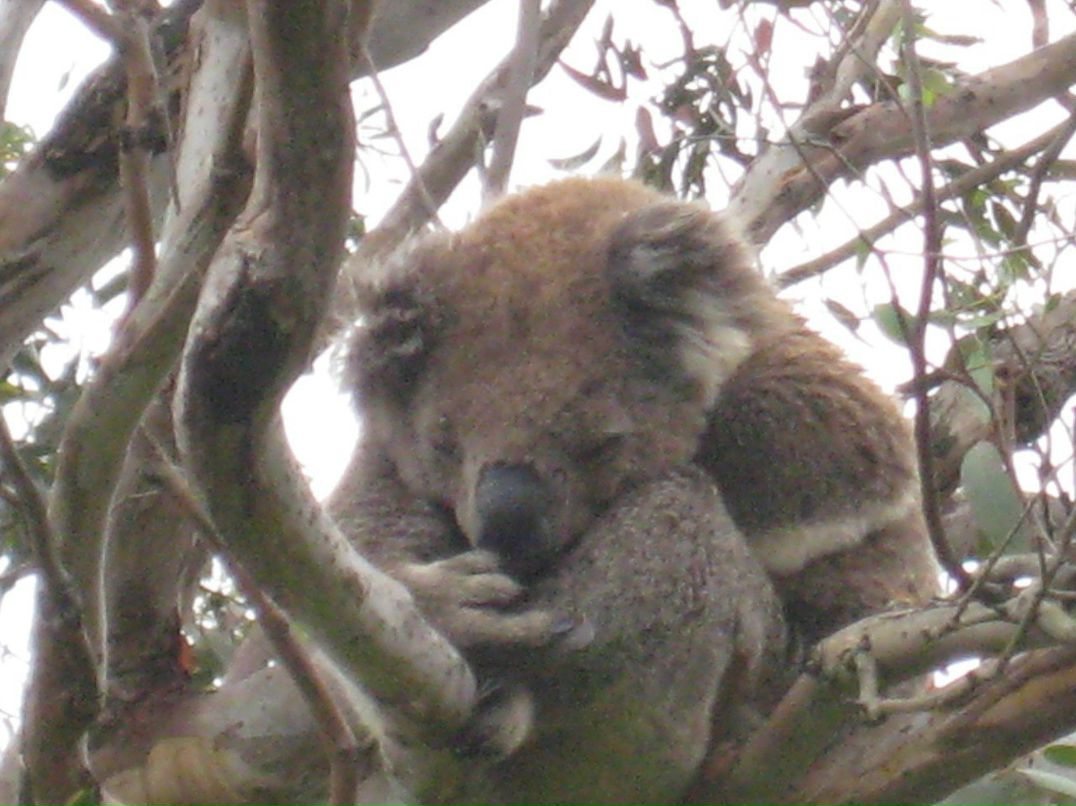 Tatiana Bobyleva | Санкт-Петербург