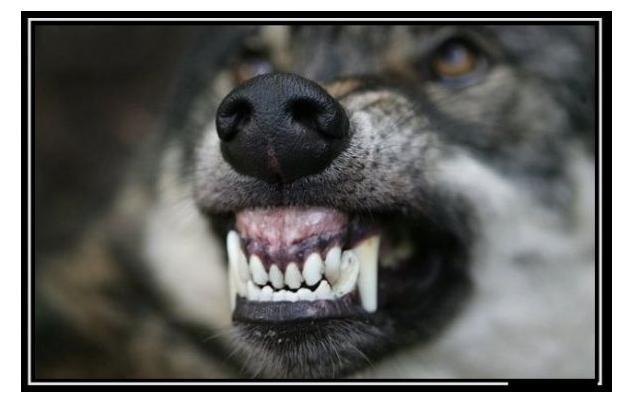 Мишаня Несин MigueL | Петропавловск