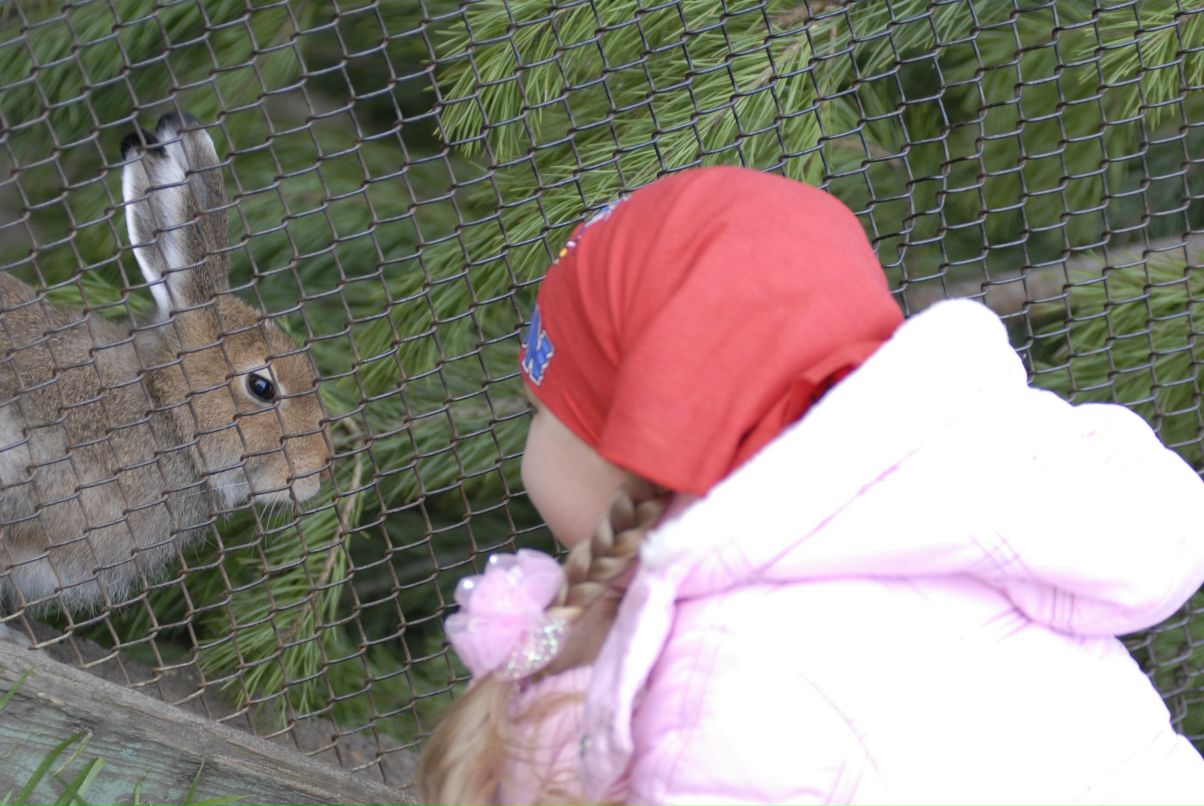 Анютик Игошева | 