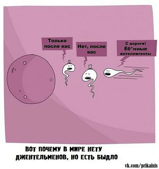 Игорь Мерзляков | Калининград