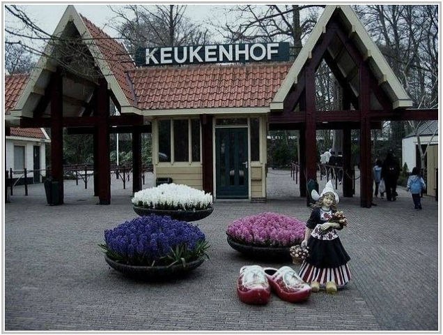 Оксана Кузнецова | Новороссийск