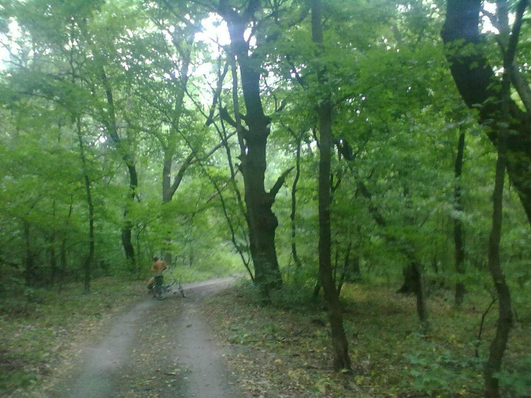 Наталия Хомутова | Луганск