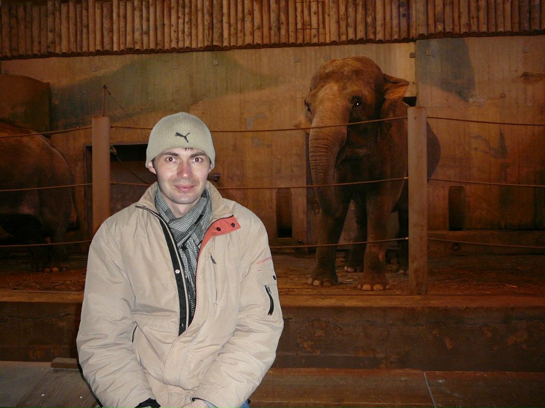 Алексей Токарев | Dallas