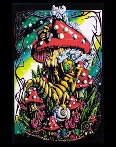 Кристинка Находкина ツвеликОлепнаЯнеЯилошадьНЕмоя | Новый Свет