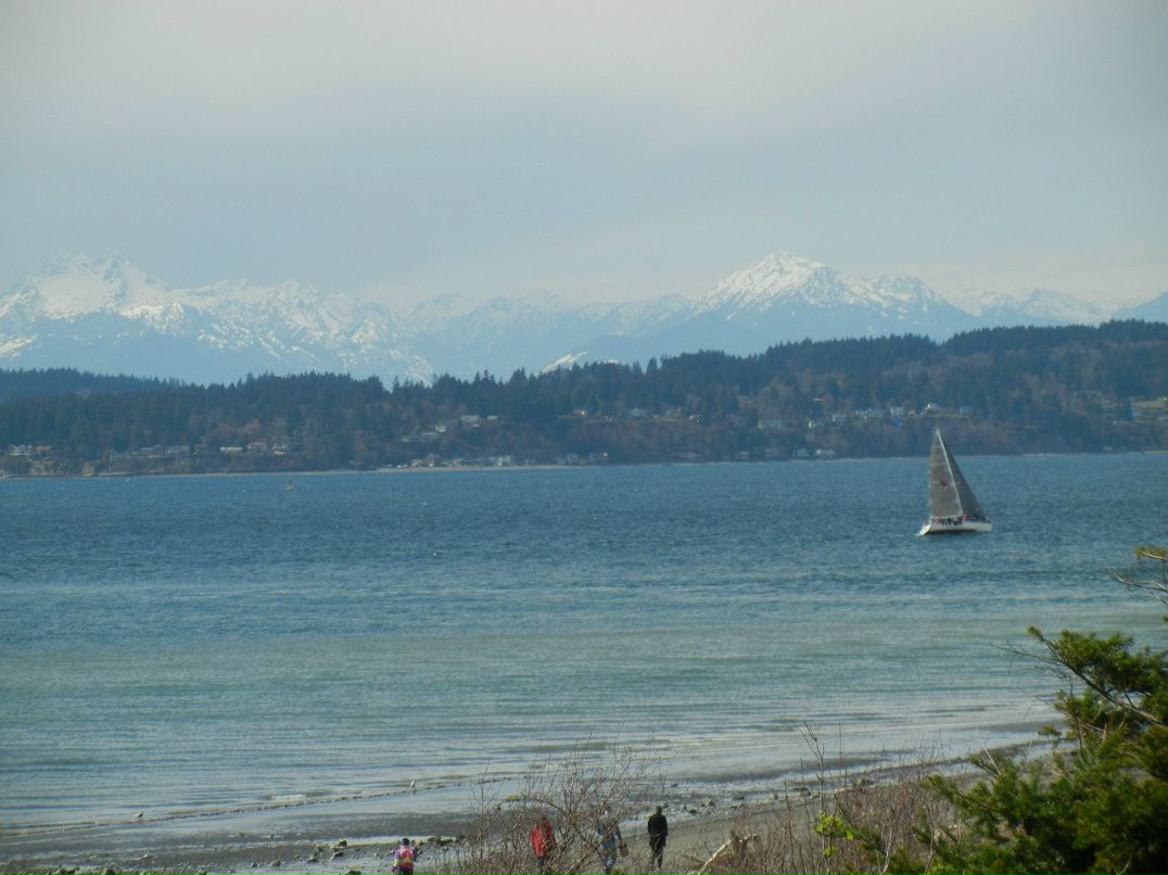 Наталья Удовиченко | Saint Augustine