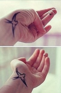 Анастасия Майорова | Дмитров