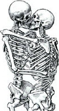 Аделина Флейшер | 