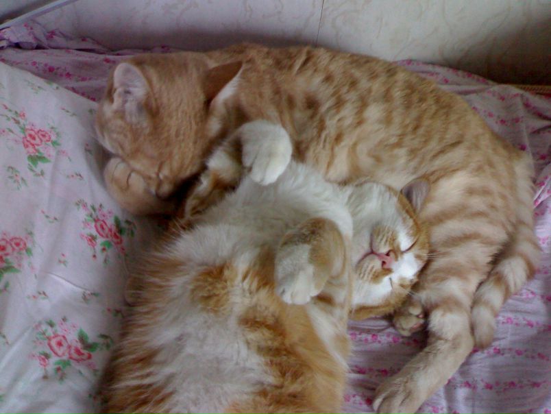 №113, Виктор Засекин, 42 года, Челябинск №113, Виктор Засекин, 42 года, Челябинск