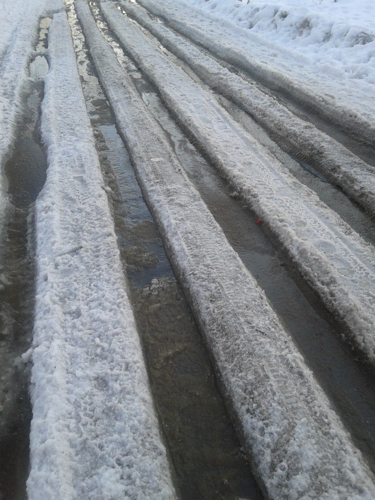 Юра Репченко | Снегири