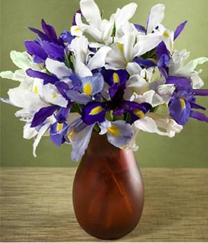 Ирина Осипова | 