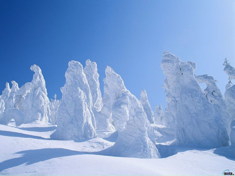 Татьна Шапкина | 